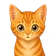 Waffle looking startled